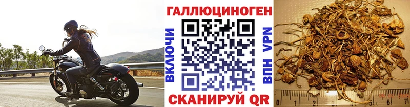 Галлюциногенные грибы ЛСД  Чудово 