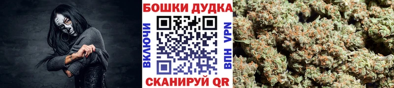 Конопля SATIVA & INDICA  что такое наркотик  Чудово 